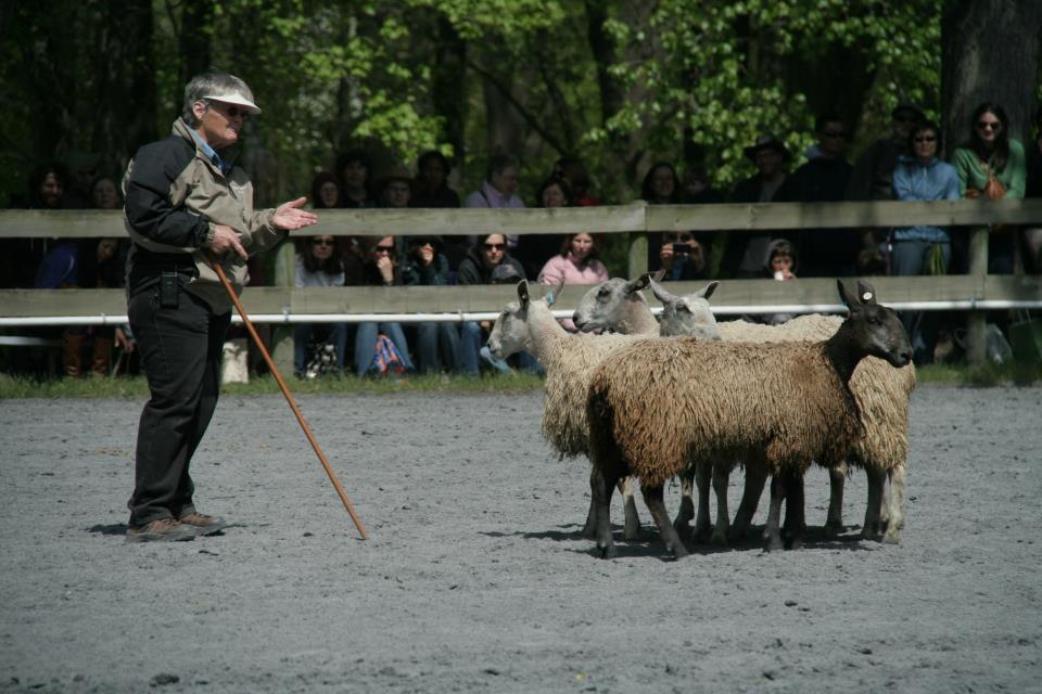 NancyHerding